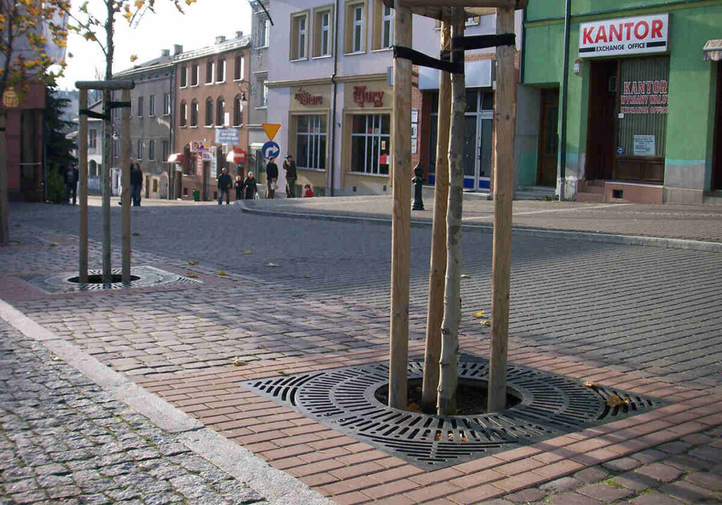 Platan chrzanów